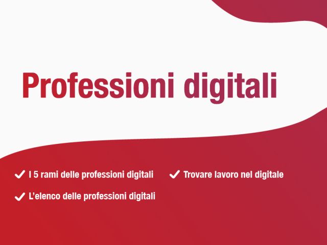 Sommario Professioni digitali