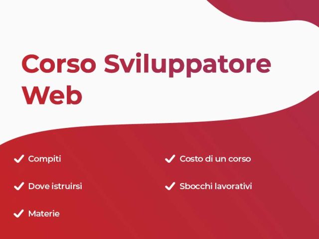 Sommario Corso sviluppatore web