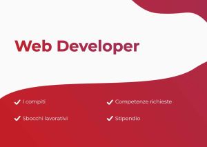 Sommario Web Developer