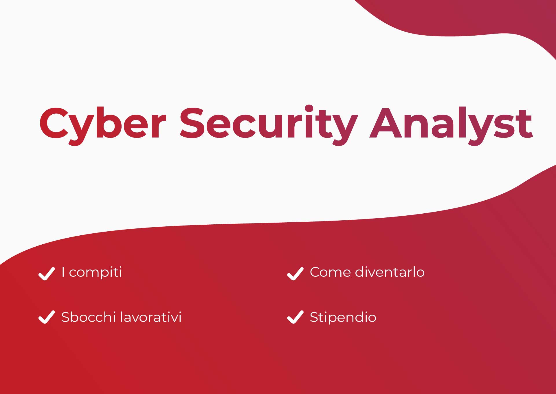 Sommario Cyber Security Analyst