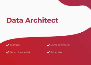Sommario Data Architect