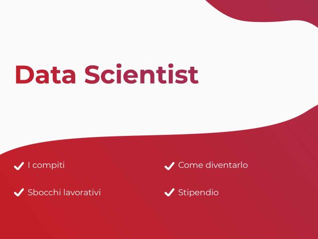 Sommario Data Scientist