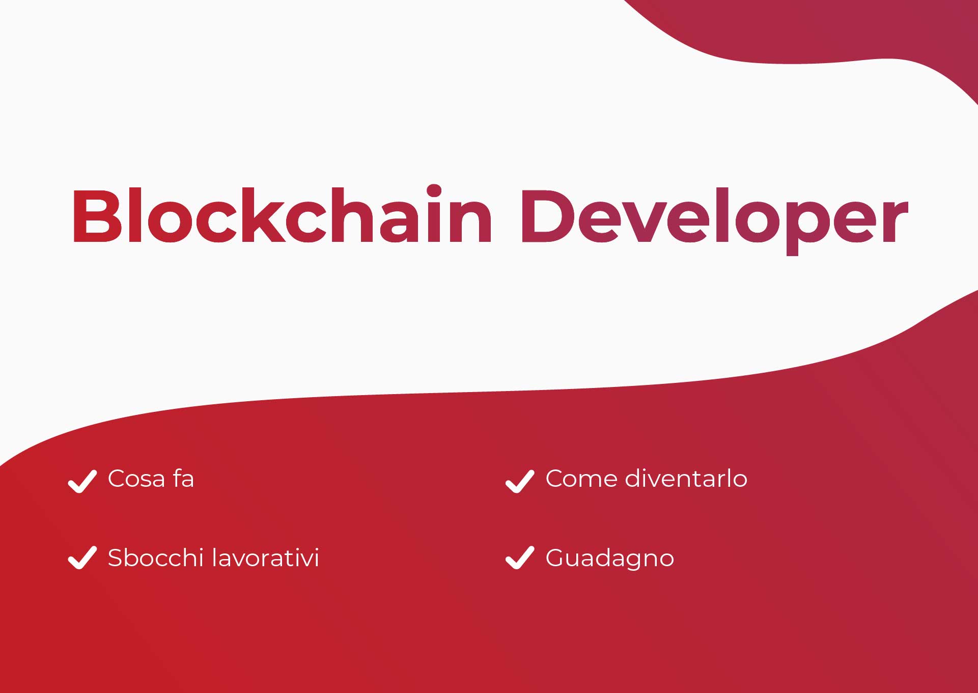 Sommario Blockchain Developer
