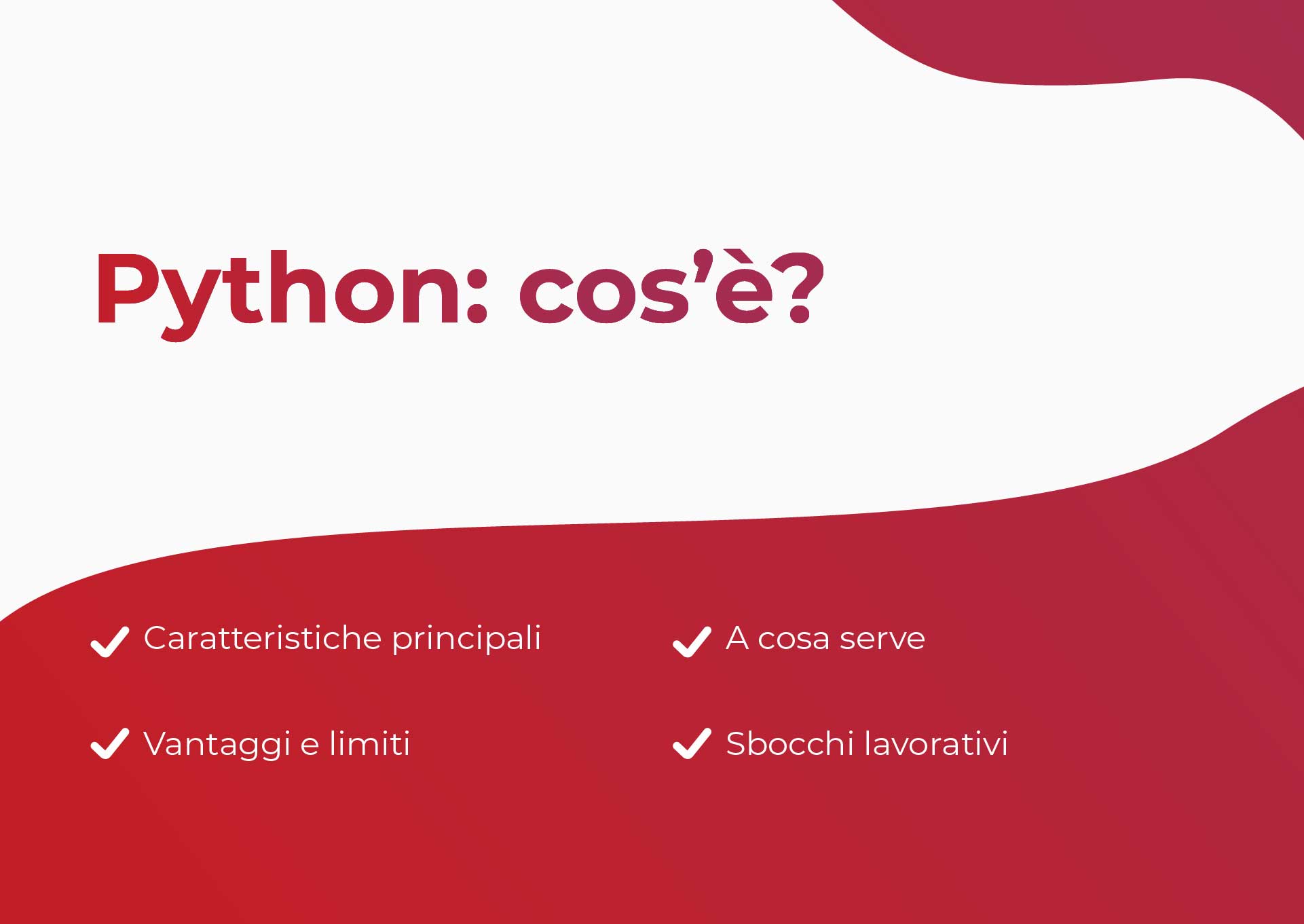 Sommario Cos'è il Python
