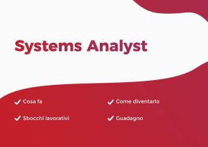 Sommario Systems Analyst