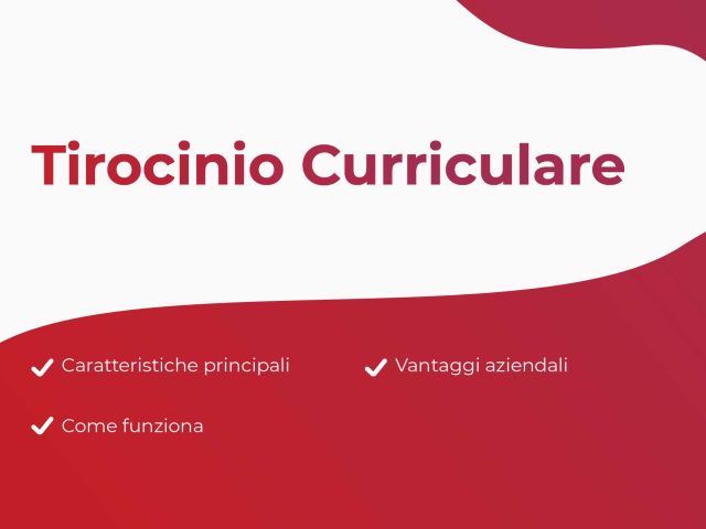 Sommario Tirocinio Curriculare
