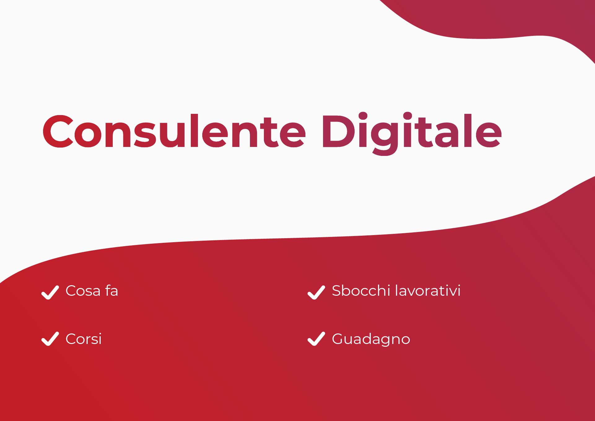 Sommario Consulente Digitale
